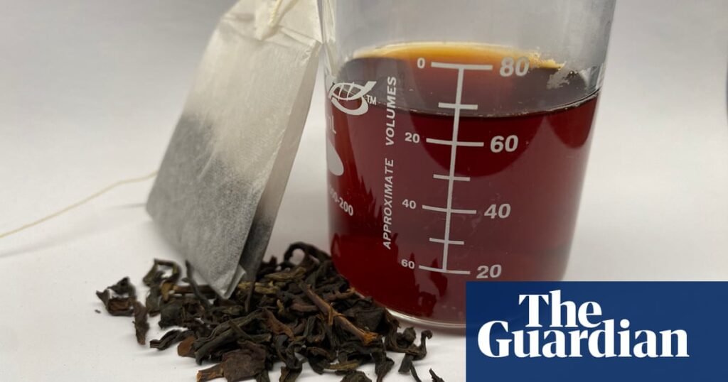 Brewing tea removes heavy metals from water, study finds | Science