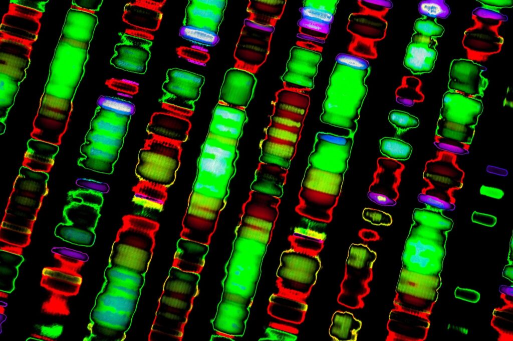 AI Uncovers Hidden Genetic Clues That Challenge COVID-19’s Origins