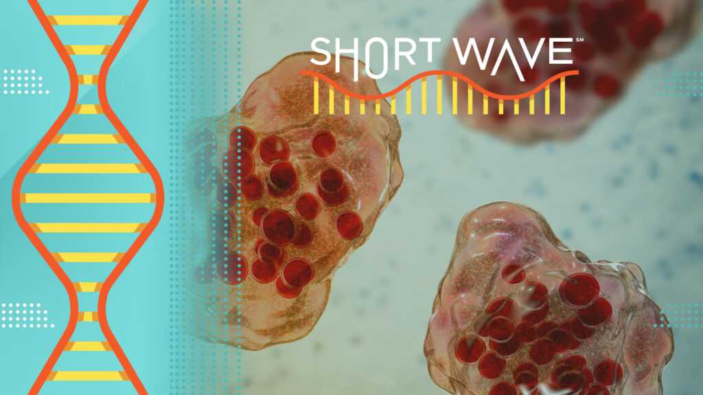 How to stay safe from the measles outbreak – with science : Short Wave : NPR