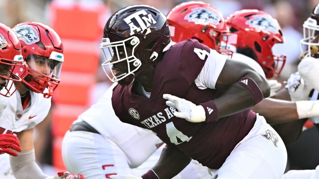 Arizona Cardinals land Shemar Stewart with 16th pick