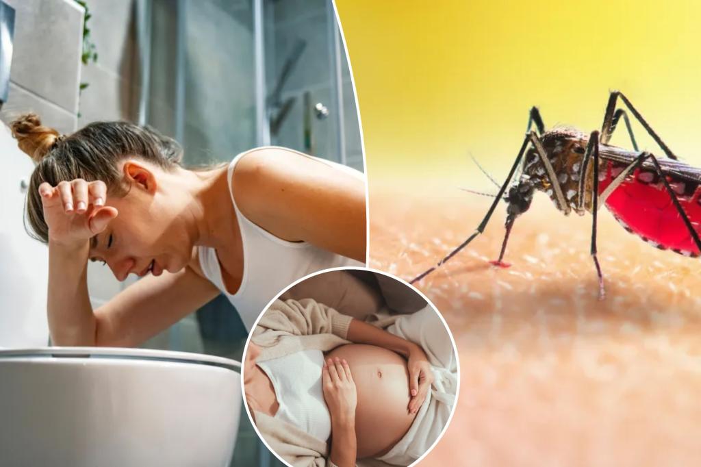 'Next Zika' can cause brain swelling, vomiting and miscarriage