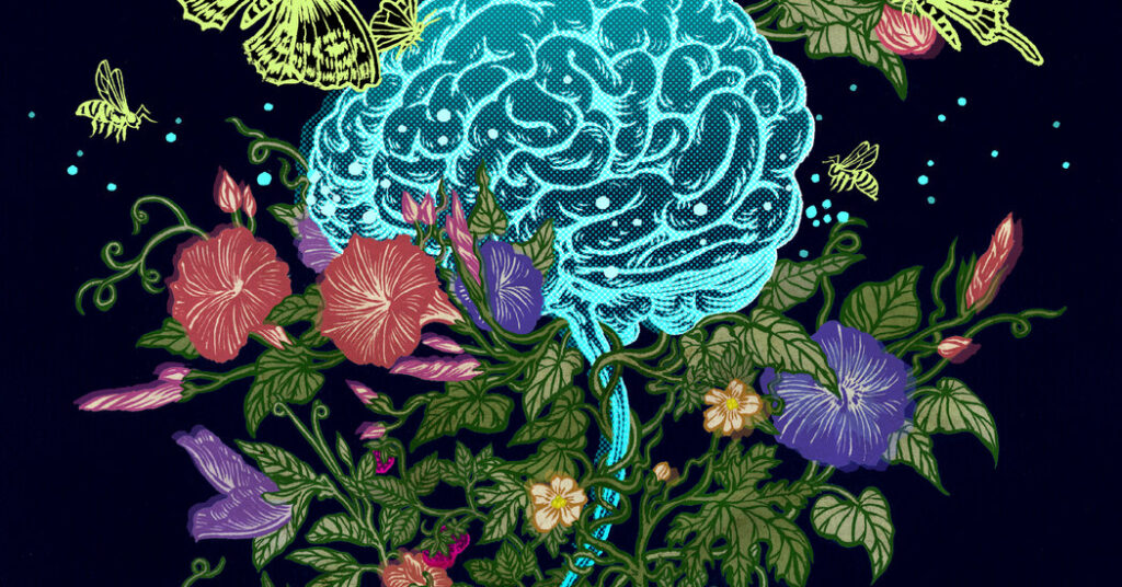 Sex Hormones Are Brain Hormones. What Does This Mean for Treating Brain Diseases?