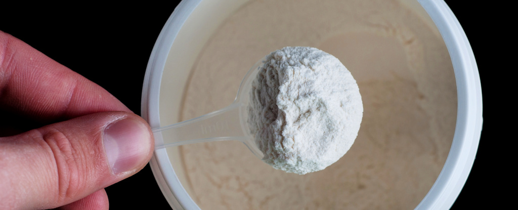 Cutting Back on One Amino Acid Increased Lifespan in Middle-Aged Mice Up to 33% : ScienceAlert