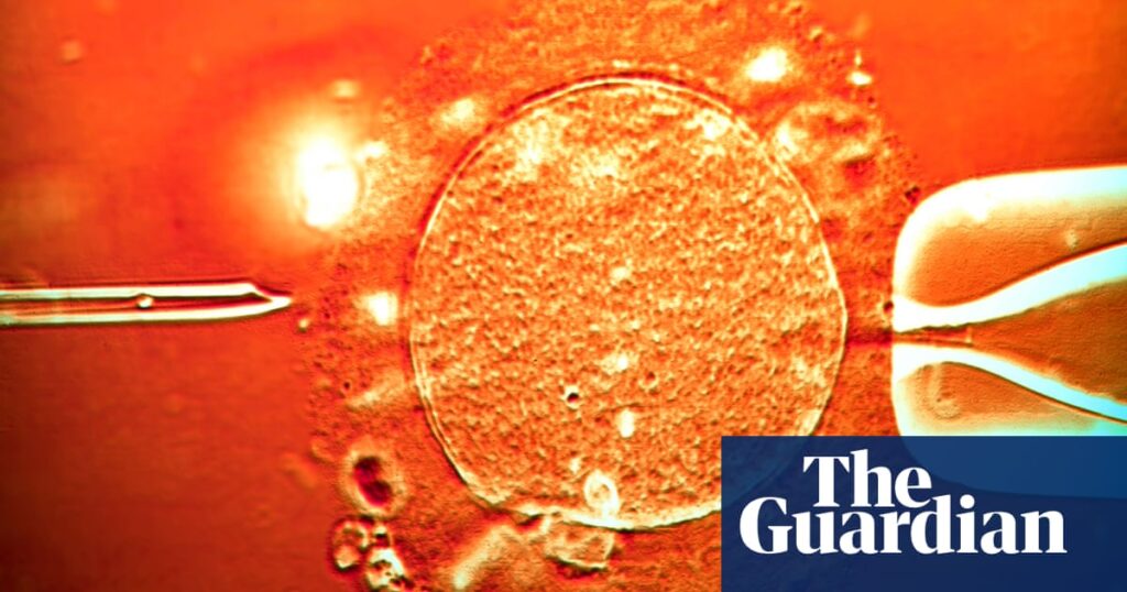 Sperm from cancer-risk donor used to conceive at least 67 children across Europe | Sperm donation