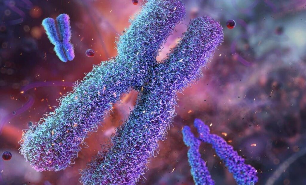 A Person’s Life Expectancy Could Be Known Right After Birth – Here's How