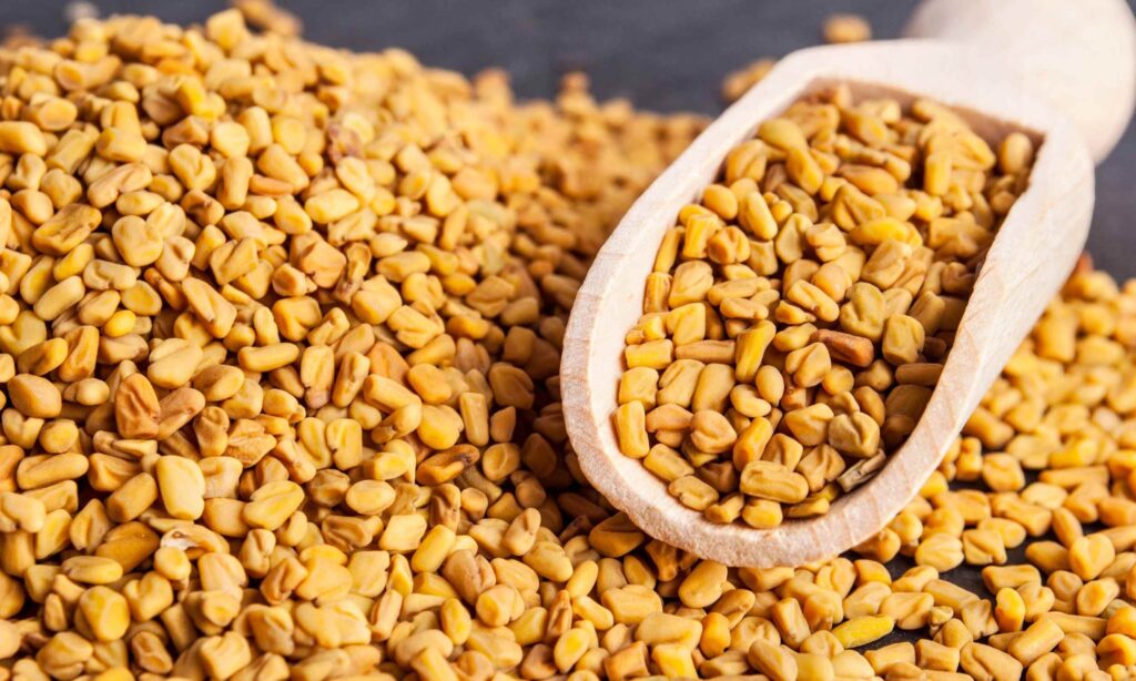 This seed is rich in protein, magnesium, and helps muscle growth -