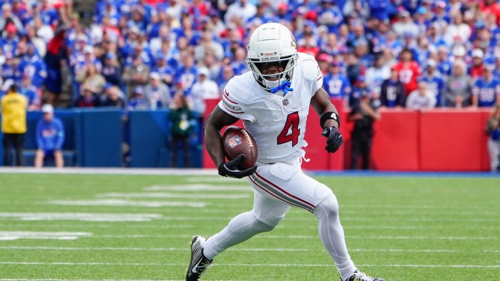 2025 Arizona Cardinals training camp roster preview: WR Greg Dortch