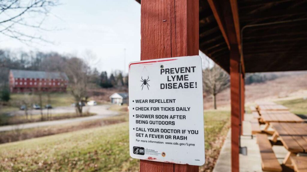 A warmer, humid world where ticks thrive is increasing spread of Lyme and other diseases