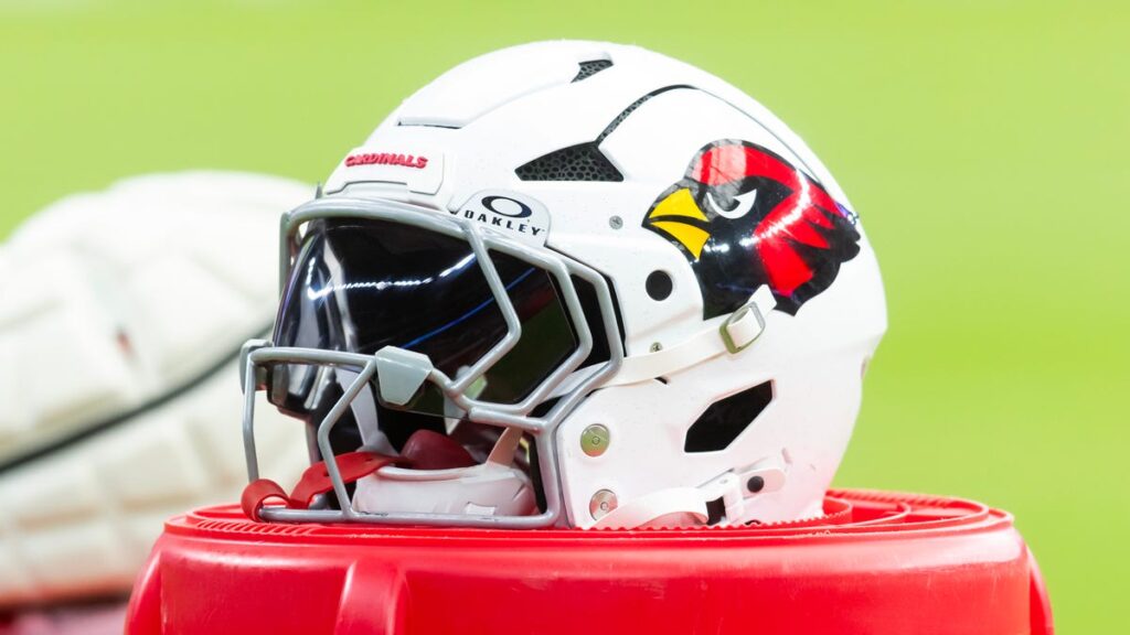 Arizona Cardinals add international DL to practice squad