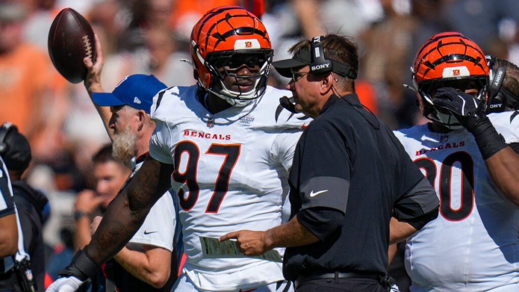 Bengals rookie Shemar Stewart's monster debut hints at breakout