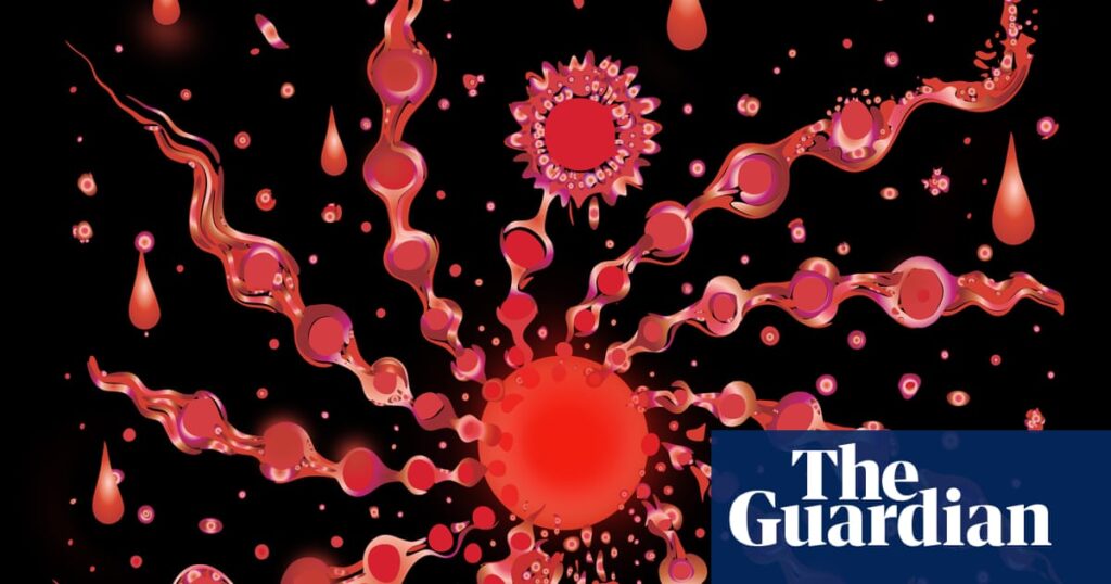 ‘A medical miracle’: is period blood ‘the most overlooked opportunity’ in women’s health? | Women's health
