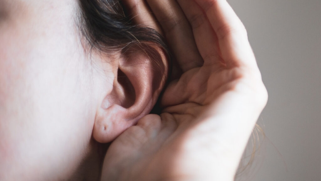 50-Year-Old Theory on Schizophrenia's 'Voices' Confirmed by Recent Study : ScienceAlert