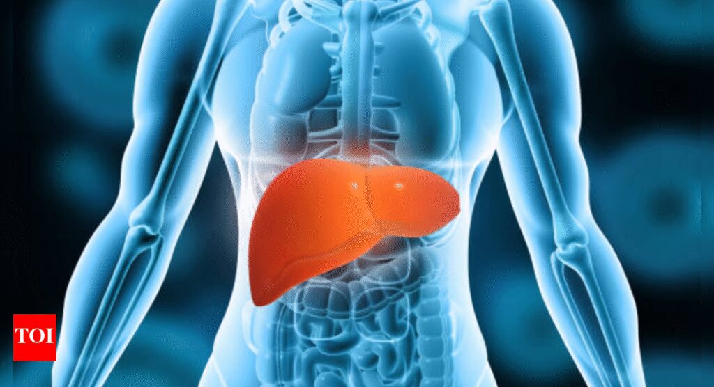Liver Health: Liver sometimes can’t fix itself, even after you quit alcohol: Scientists explain why heavy drinking stops the liver from healing |