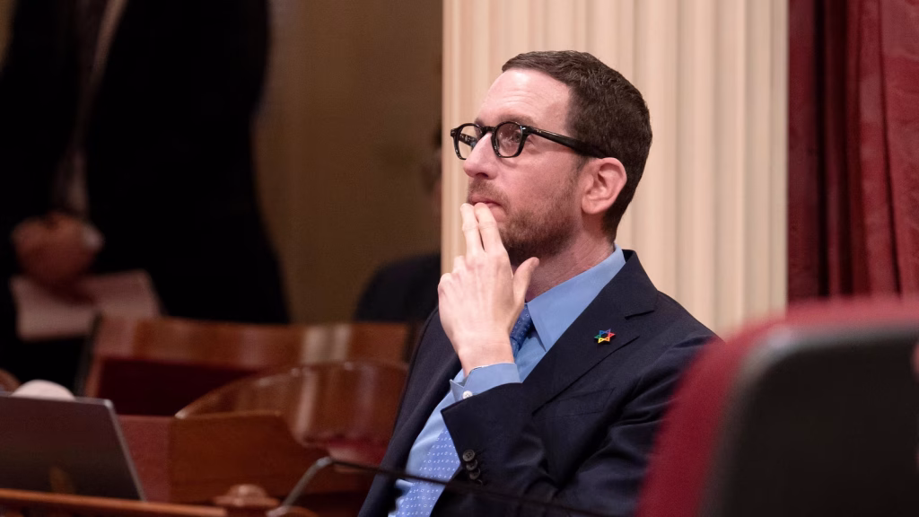 A policy expert vying for Nancy Pelosi's congressional seat is ready to face challenges.