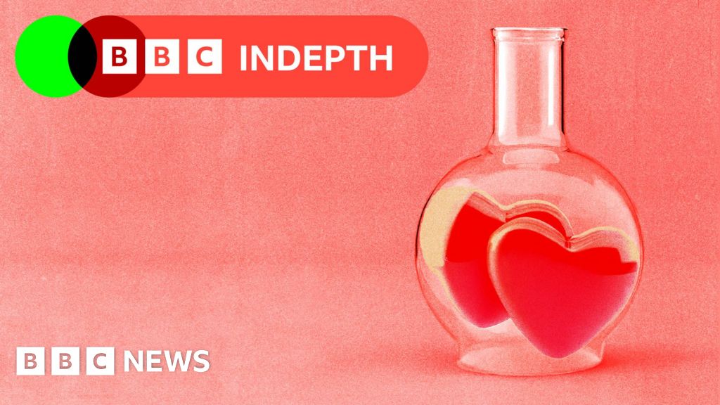 Is there a perfect match waiting for you?