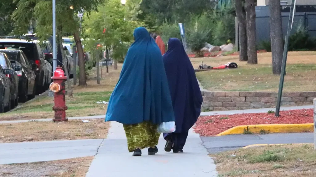 No prosecutions for female genital mutilation reported in Minnesota, despite existing felony legislation.