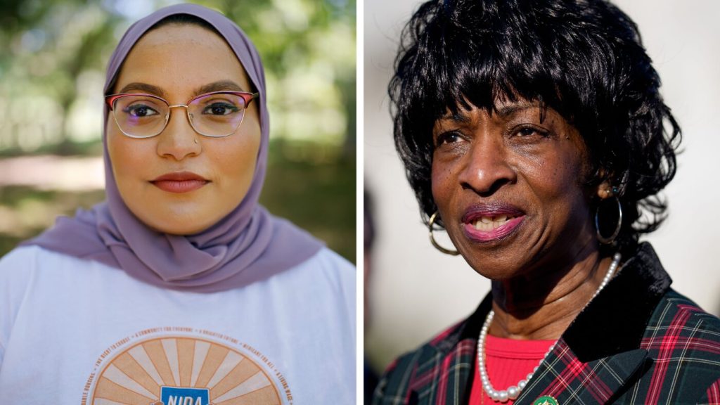 North Carolina's 4th District primary may serve as an indicator for Democratic prospects.