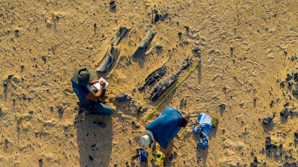 Previously Unknown Spinosaurus Species Features Large Head Crest
