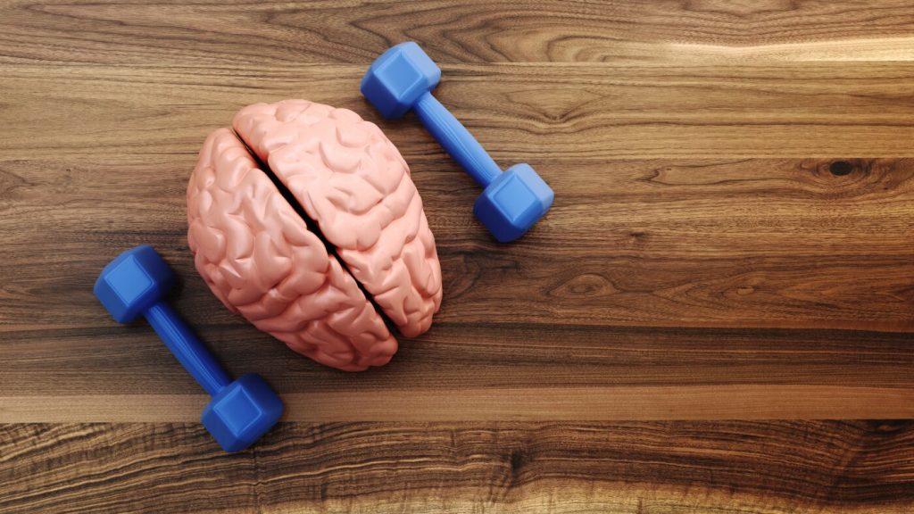 Research suggests that a cognitive training activity could reduce the risk of dementia for many years.