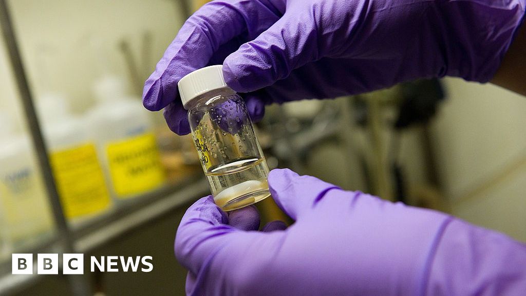 Researchers claim a single vaccine may provide protection against all types of respiratory infections.