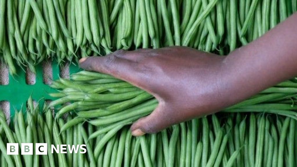 Senegalese farms play a key role in supplying vegetables to the UK.