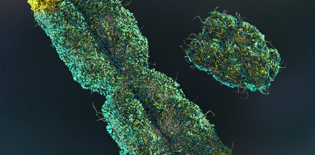 Men lose their Y chromosome as they age. Scientists thought it didn’t matter – but now we’re learning more