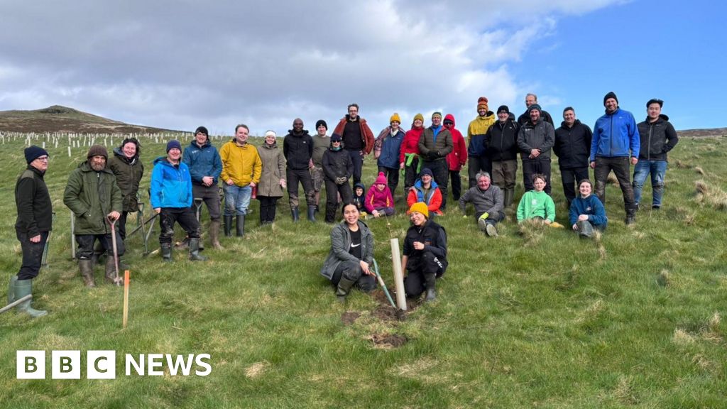 30,000 trees planted to establish a temperate rainforest on the Isle of Man