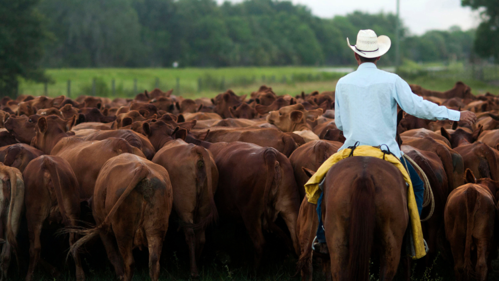 Consumers face pressure from increasing beef costs as investors support AI technology.