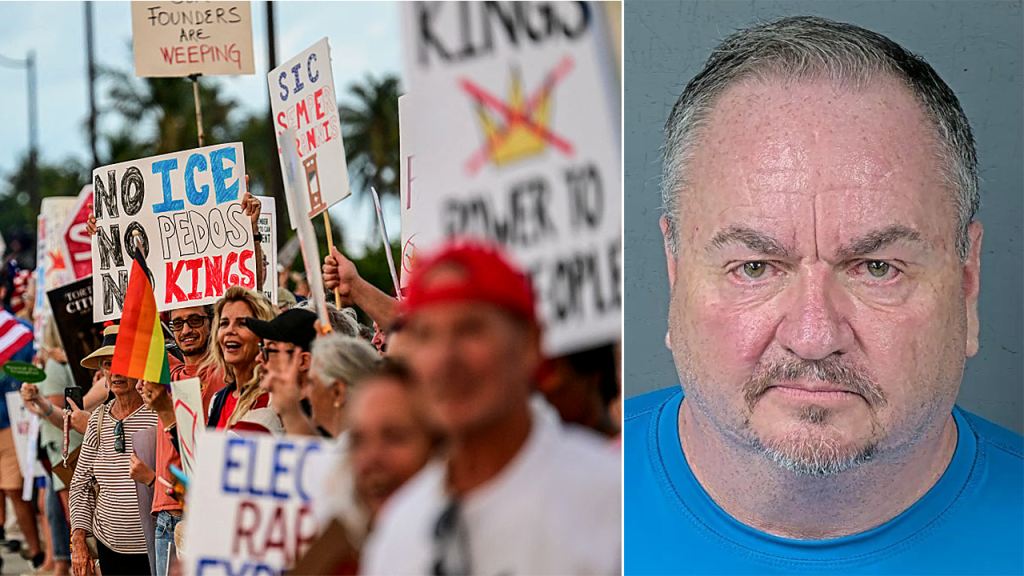 Democratic Party chair in the area faces allegations of assaulting a man during 'No Kings' demonstration.