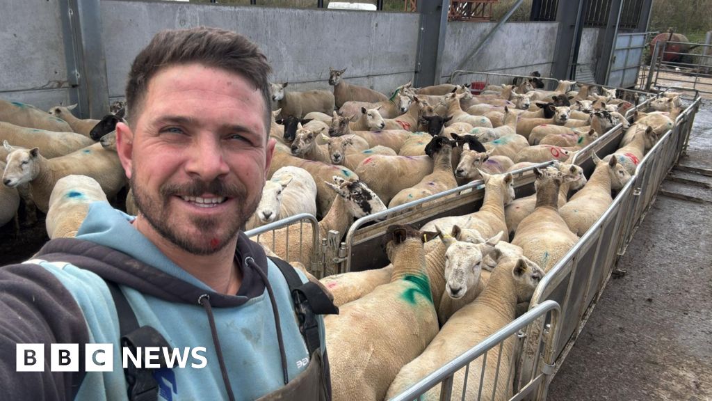 Dog owners could be subjected to infinite penalties for attacks on livestock on farms.