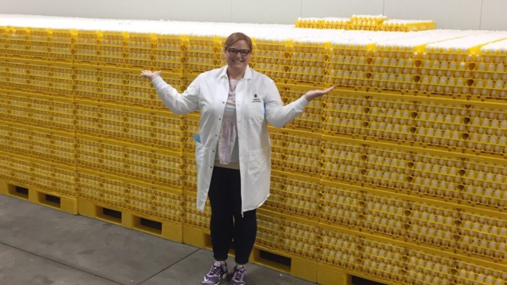 Factors Contributing to the Decline in Egg Prices Compared to Last Year