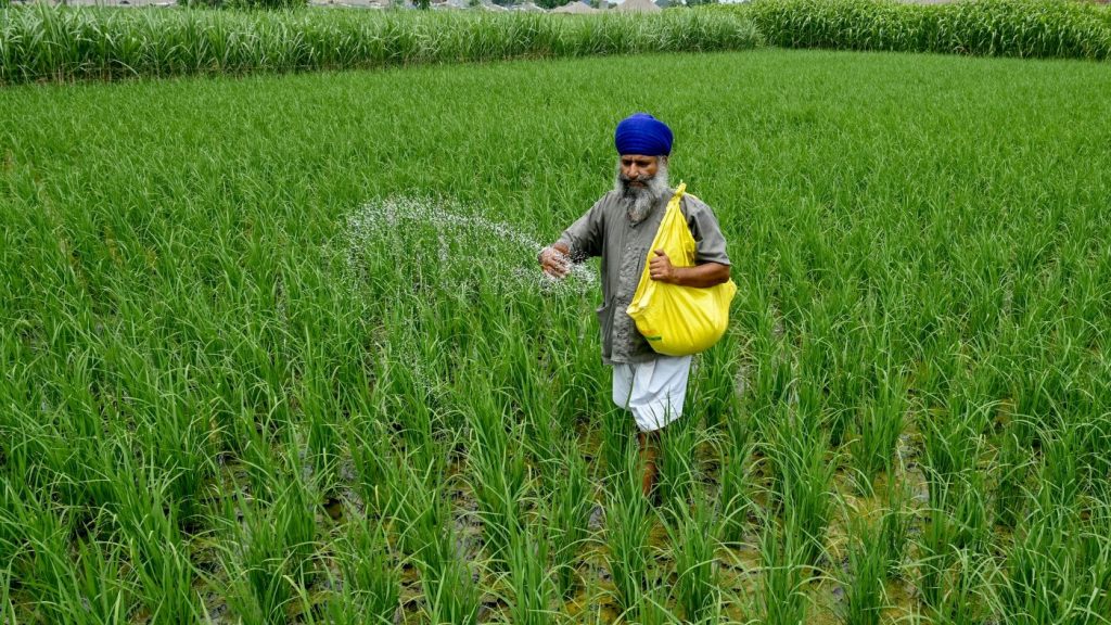 Impact of the Iran conflict on worldwide food security