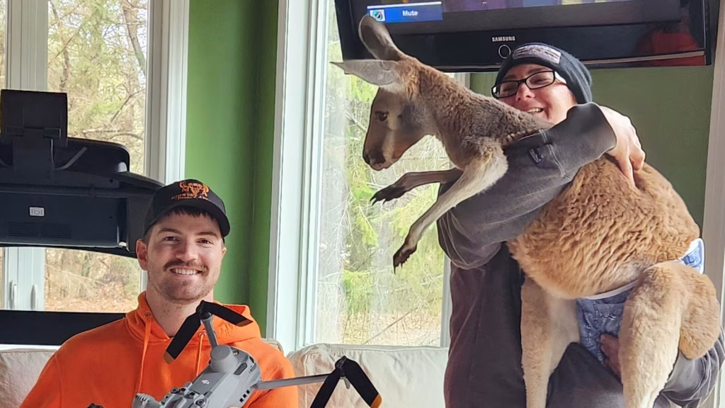 Kangaroo named Chesney escapes from petting zoo and evades capture for three days.