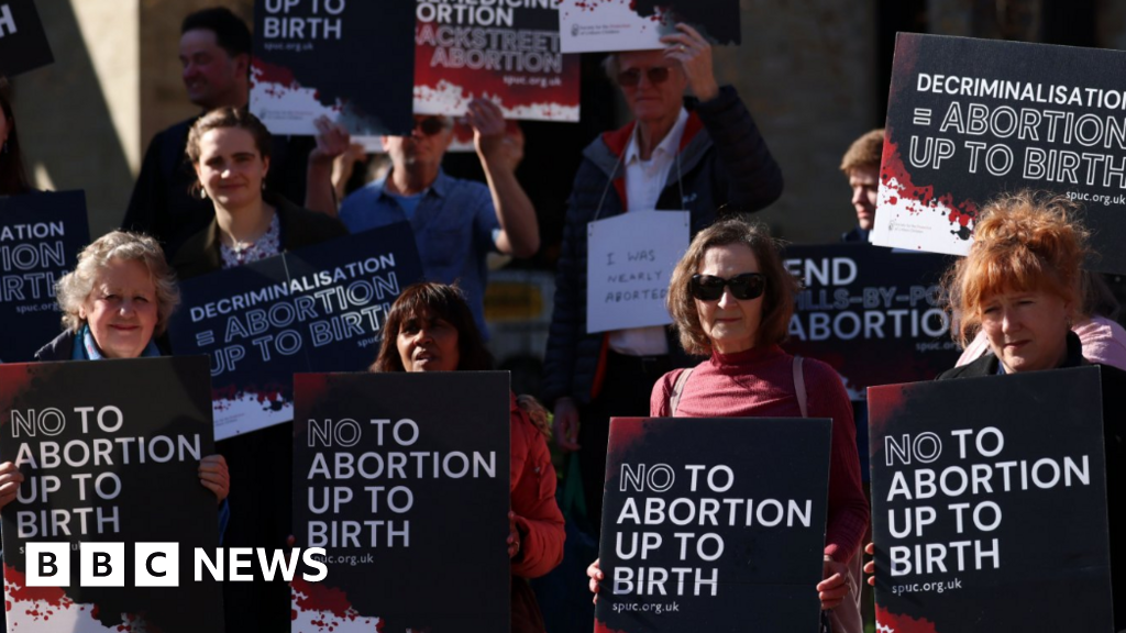 Legislators discuss the potential decriminalization of abortion.