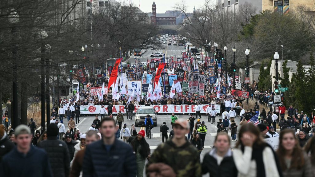 New report indicates U.S. abortions remain stable at 1.1 million.