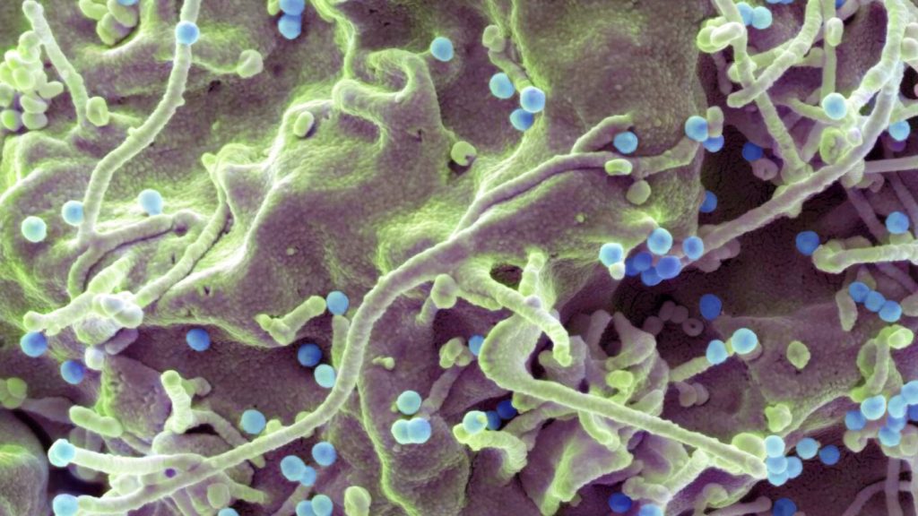Novel daily medication shows potential for underserved HIV demographic.