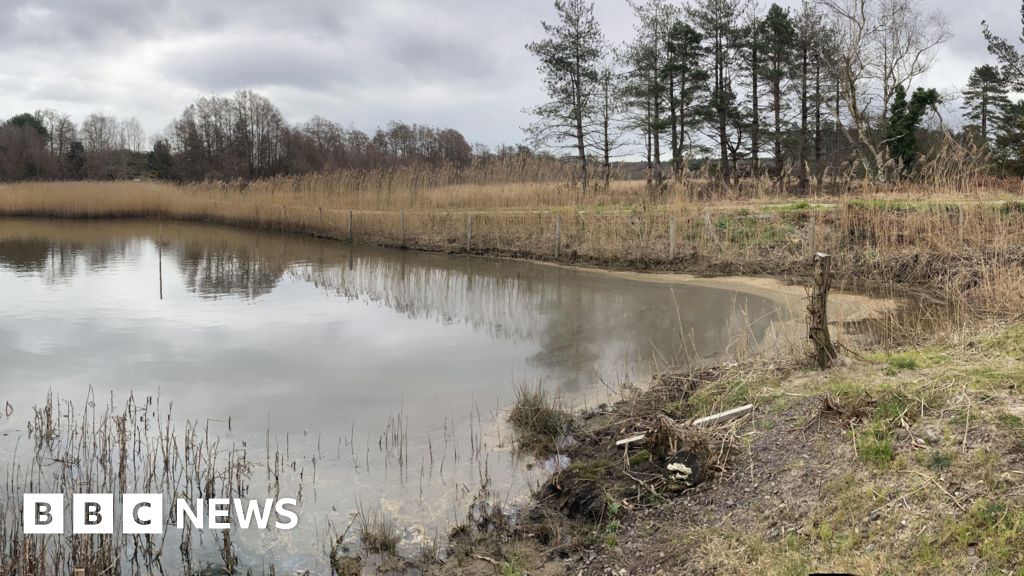 Perenco ordered to pay £6 million following spill in Poole Harbour