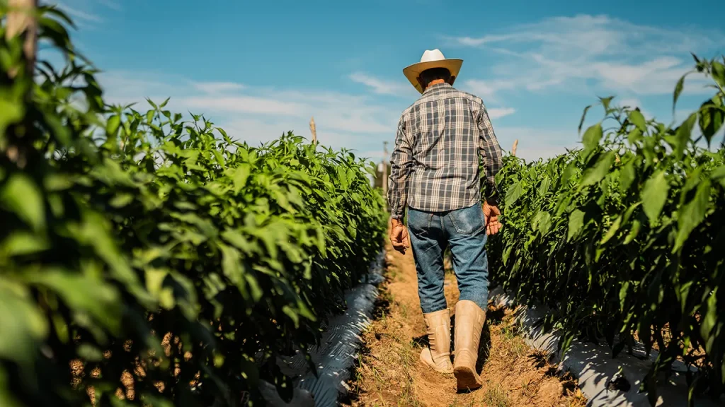 Research connects prevalent chemical exposure to increased risk of Parkinson's disease.
