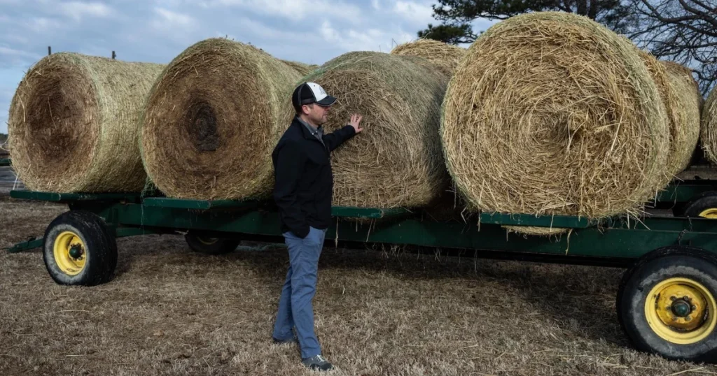Rising Diesel Costs Amid Conflict Create Increasing Financial Pressure on Farmers