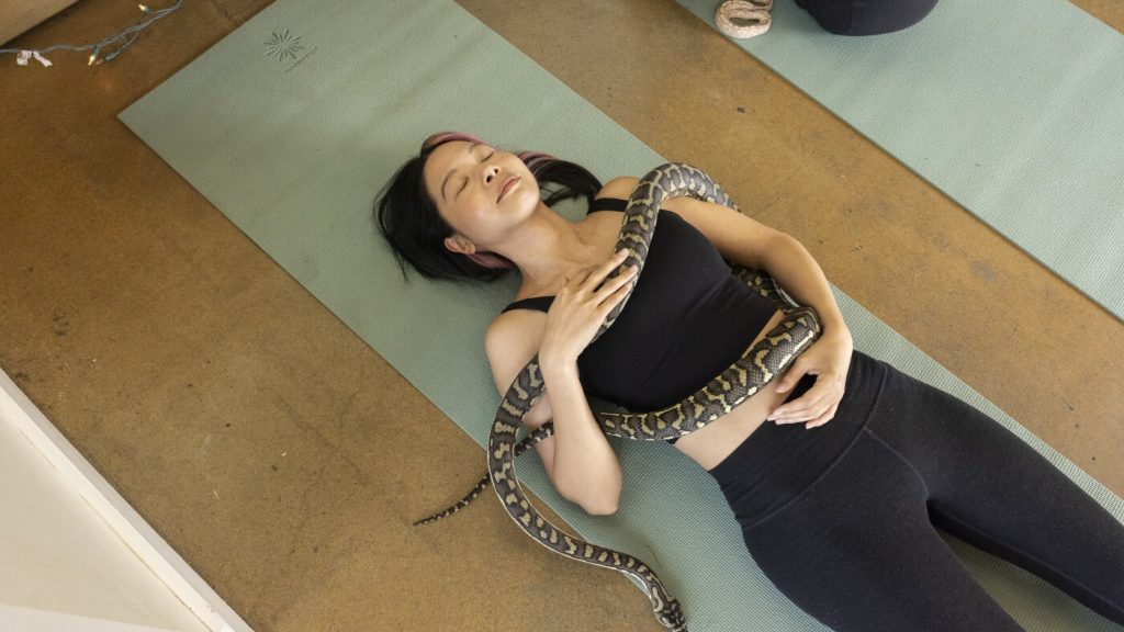 Swap puppy yoga for a session featuring snakes.