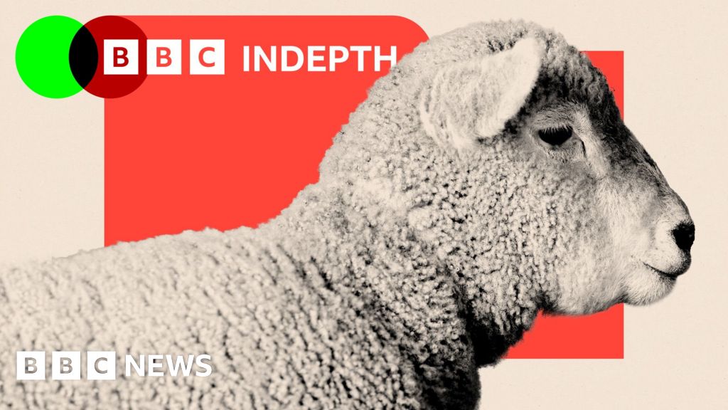 The population of sheep is declining both in rural areas and in culinary dishes.