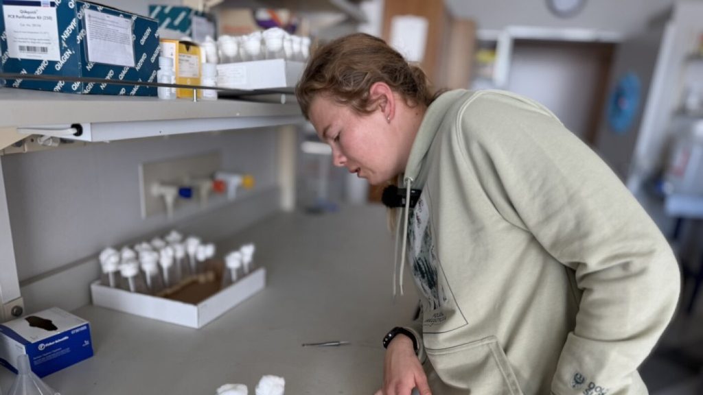U.S. Paralympic skier juggles athletic training with academic research
