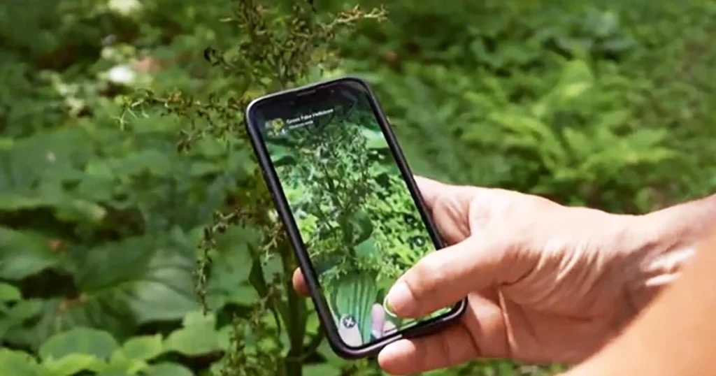 iNaturalist app users contribute to scientific research through enjoyable citizen science activities