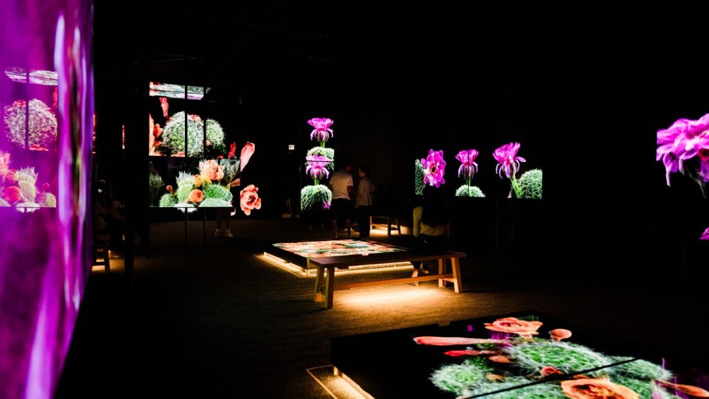 3D Scans Aimed at Safeguarding Wildlife in the Sonoran Desert