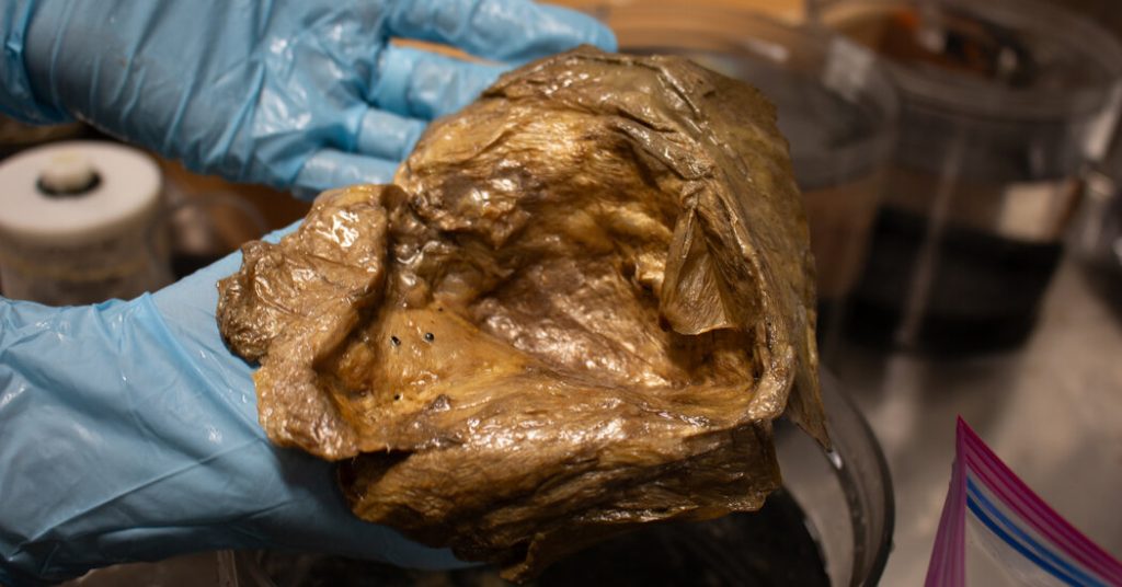 Deep Sea Enigma Known as Golden Blob Is Identified by Researchers