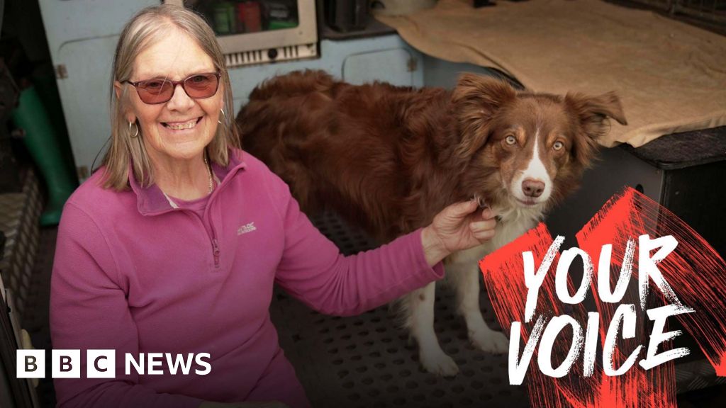 Insurer cancels pet policy, resulting in £8,000 veterinary expenses for owner