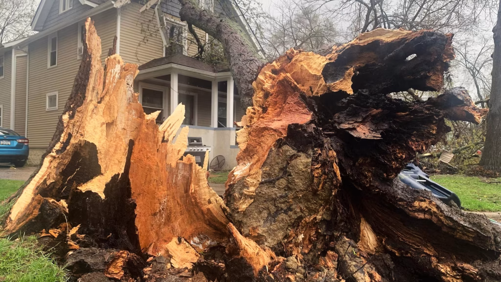 Intense storms bring significant rainfall, lightning, and flooding to various regions in the United States.