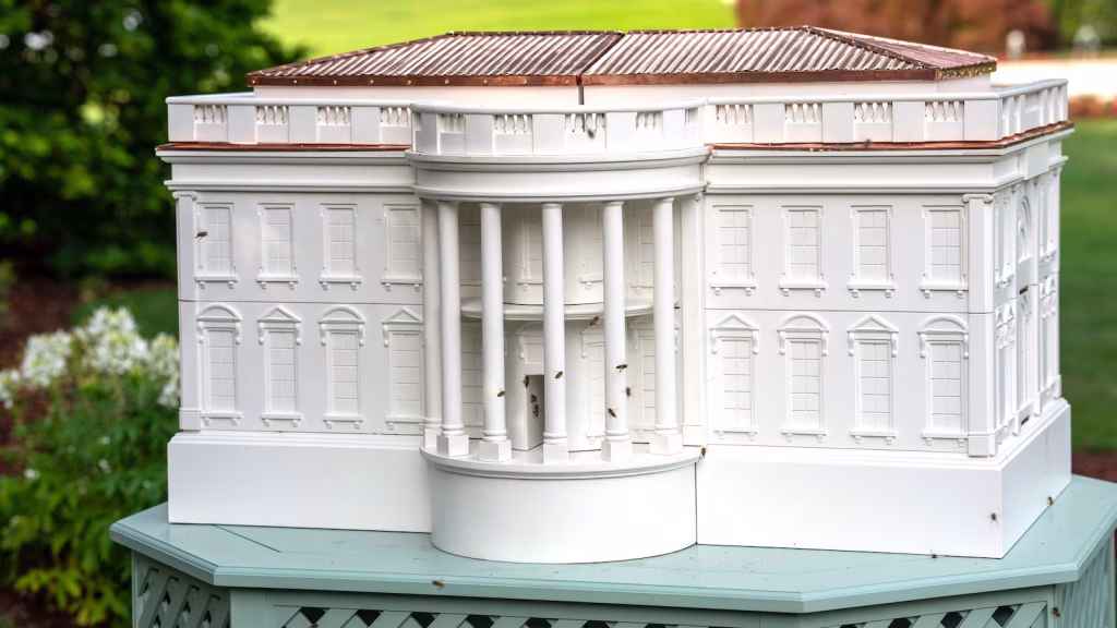Melania Trump expands White House honey initiative by introducing an additional beehive.