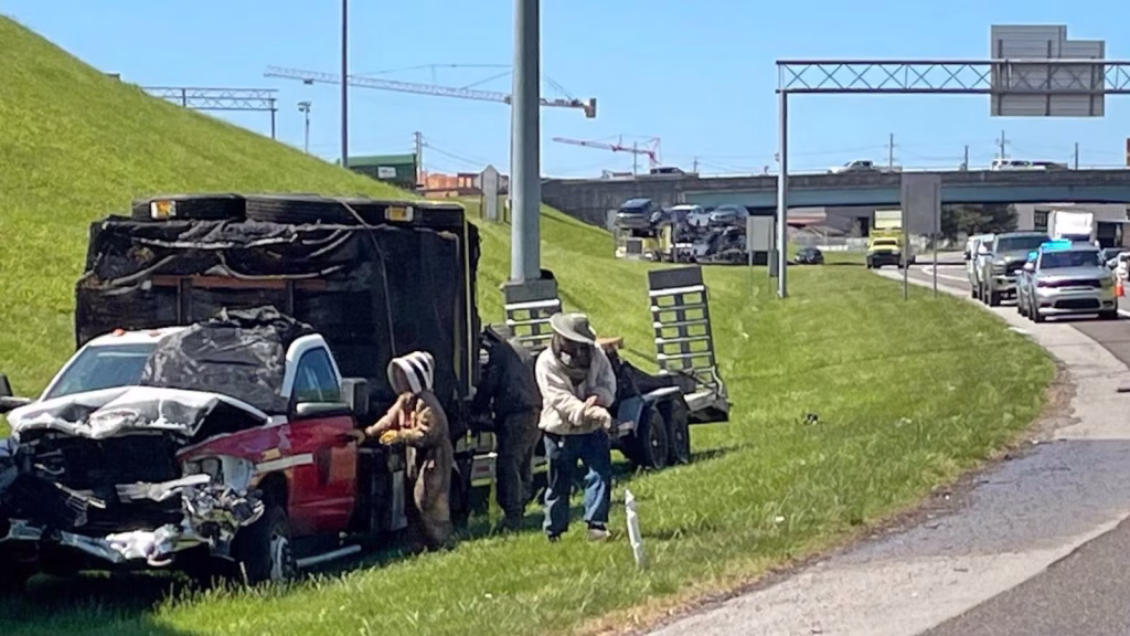 One million bees cause significant traffic delays on a highway ramp in Tennessee.
