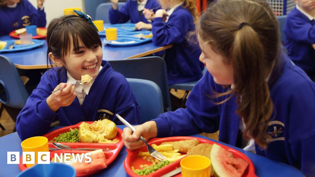 School meal guidelines implemented to prohibit deep-fried foods